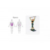 Платформа для фитнеса HOME GYM