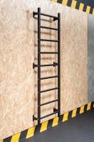 Шведская  стенка STECTER WALL