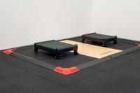 Тяжелоатлетические плинты для штанги с регулировкой по высоте 20-30 см (пара)