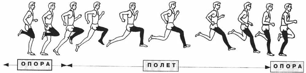 Сравнение нагрузки на суставы: беговая дорожка vs эллипс
