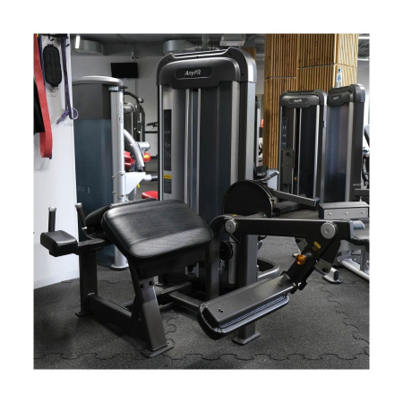 Сгибание ног AnyFit PE203-84