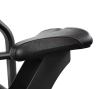 BRONZE GYM PL-1713 Бицепс