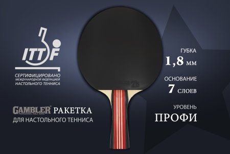 Ракетка Gambler 2 STAR (коническая)