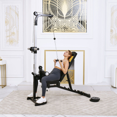 Скамья с вертикальной и горизонтальной тягой Powertec