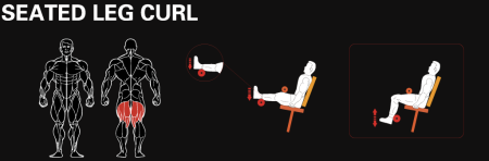 Сгибание ног сидя YOUSTEEL AM8-013