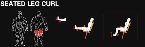 Сгибание ног сидя YOUSTEEL AM8-013