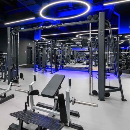 E7016 Кроссовер с изменением высоты. Стек 2x110 кг