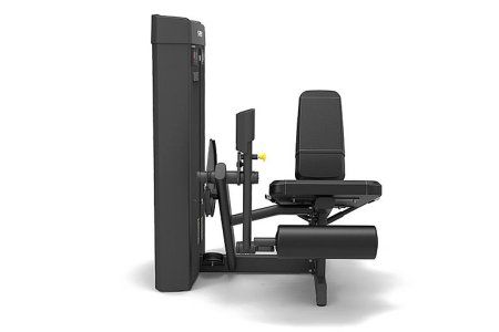 Разгибание ног сидя Spirit SP-4305