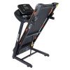 Беговая дорожка Domsen Fitness DST40