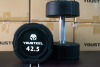 Гантели YOUSTEEL EVO  полиуретановая 42,5 кг