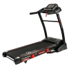Беговая дорожка CardioPower T30