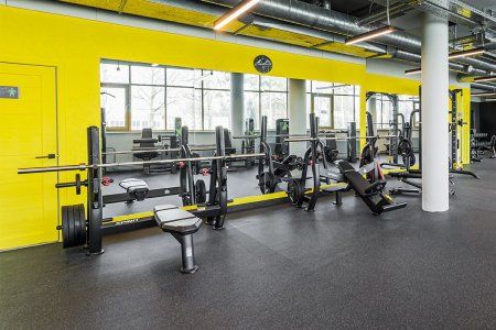 Олимпийская скамья для жима под углом Spirit SP-4210