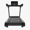 Электрическая беговая дорожка Protrain PR-BCTM-02 (LED)