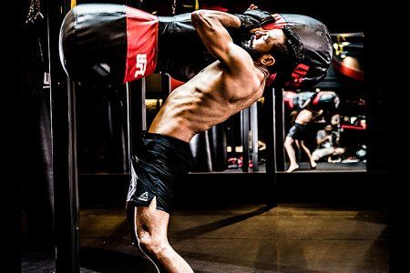 Мешок для грэпплинга UFC с наполнителем