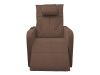 Массажное кресло реклайнер с подъемом FUJIMO LIFT CHAIR F3005 FLFK Терра (Sakura 20)