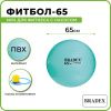 Мяч для фитнеса «ФИТБОЛ-65» с насосом, мятный