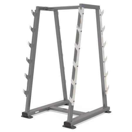 Стойка для грифов AnyFit PEB119