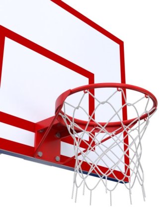 Баскетбольная стойка двухопорная с щитом 1200х900 мм из фанеры на метал. каркасе и усиленным кольцом