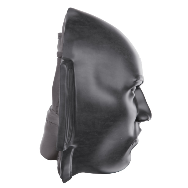 Боксерская лапа DFC Mask-Punching Mitt TLS-J