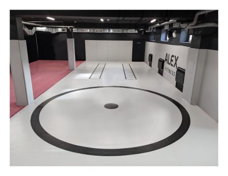 Борцовский ковер TARGEX