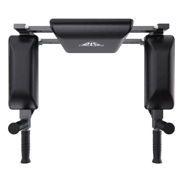 Брусья настенные DFC Homegym G294
