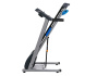 Беговая дорожка Royal Fitness RF-1 