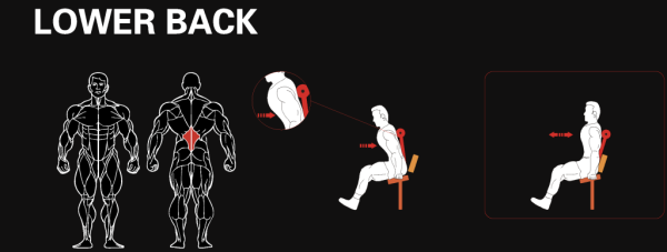 Разгибание спины YOUSTEEL AM8-009