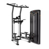 Гравитрон Protrain LFS110