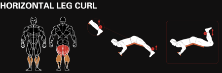 Сгибание ног лёжа YOUSTEEL AM8-013A