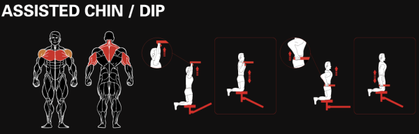 Гравитрон YOUSTEEL AM8-008 