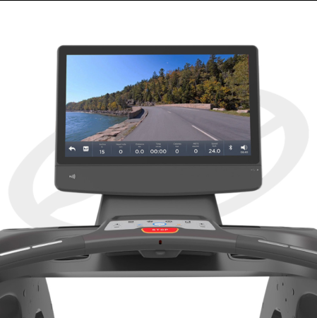 Коммерческая беговая дорожка Oxide Fitness T3S