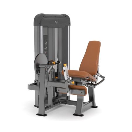 Разгибание ног AnyFit PE201-96