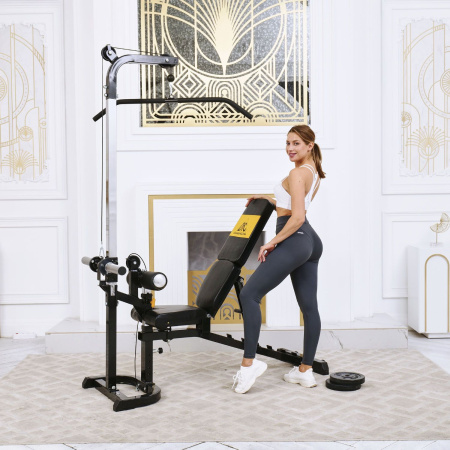 Скамья с вертикальной и горизонтальной тягой Powertec