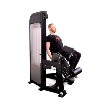 Разгибание ног сидя Protrain CP113