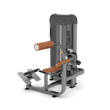 Спина/пресс AnyFit PS06-84