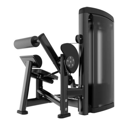 Разгибание спины Protrain LFS118