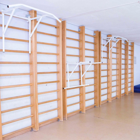 Брусья-турник навесные универсальные на шведскую стенку ZAVODSPORTA