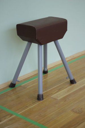 Козел гимнастический из искусственной кожи