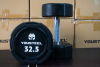 Гантели YOUSTEEL EVO  полиуретановая 32,5 кг