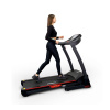 Электрическая беговая дорожка Everyfit 74500B
