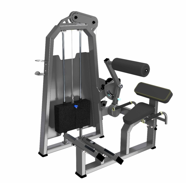 A2031 Разгибание спины. Стек 100 кг