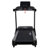 Беговая дорожка CardioPower TR100