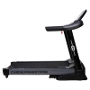 Беговая дорожка CardioPower TR100