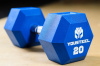 Гантель PU 20 кг. синяя