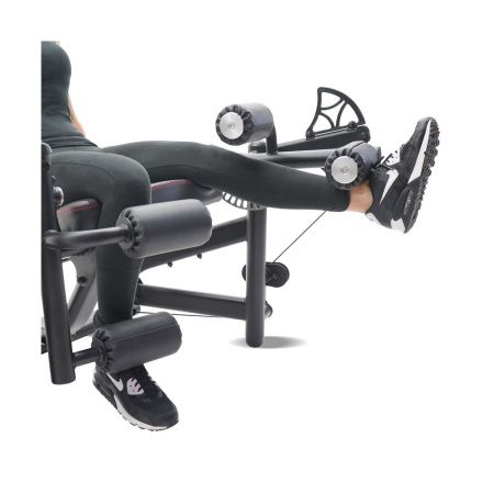 Разгибание/сгибание ног Inspire DMEC1