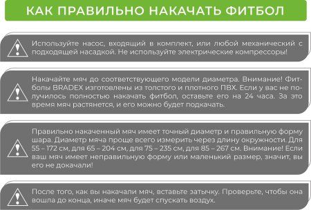 Мяч для фитнеса «ФИТБОЛ-75» с насосом