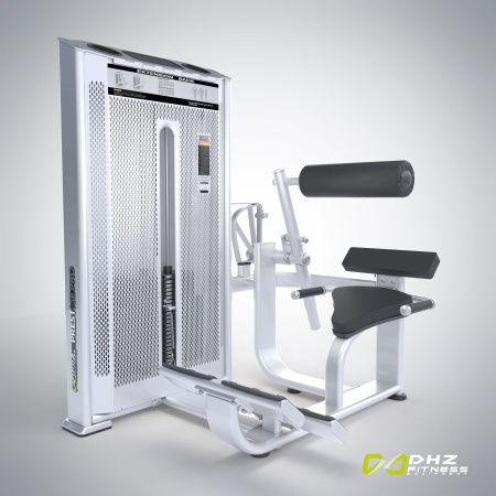 E7031A Разгибание спины. Стек 110 кг