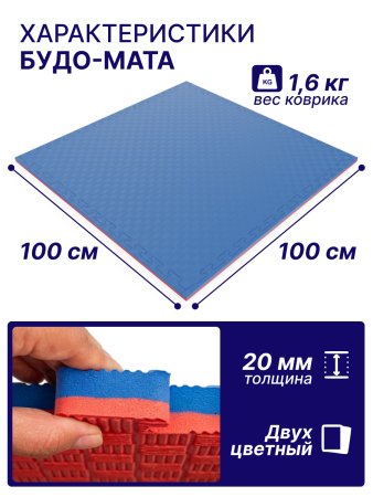 Будо-мат EVA DFC 100 x 100 см, 20 мм, цвет сине-розовый