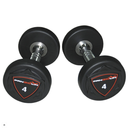 Круглые полиуретановые гантели Pangolin Fitness DB006PU