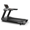 Беговая дорожка BRONZE GYM T1100M PRO